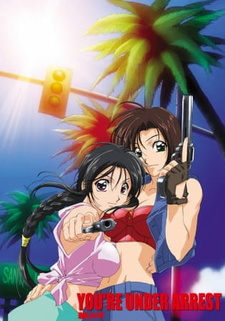 Постер к аниме фильму Вы арестованы OVA-2 (2002)