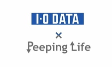 Сложности жизни x I-O Data / Peeping Life x I-O Data: Quiz!! Input Output
