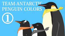 Обложка от аниме Цвета антарктических пингвинов