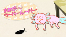  / Onegai! Wooper Looper