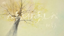 / Wo Mengjian ni Mengjian wo