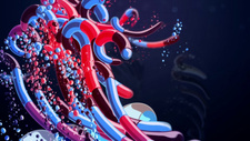  / Hadopelagic
