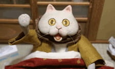 Котацунэко ONA / Kotatsu Neko