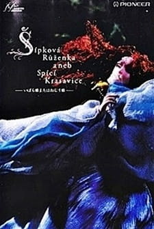 Постер к аниме фильму Шиповник, или Спящая красавица (1990)