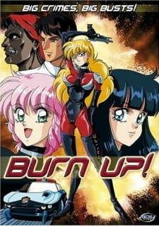 Постер к аниме фильму Спецотряд Burn-Up (1991)