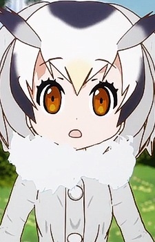 Аниме персонаж Белолицая Совка / Northern White-faced Owl из аниме Kemono Friends