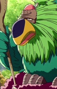 Аниме персонаж Лысый попугай / Bald Parrot из аниме One Piece Movie 3: Chinjuu-jima no Chopper Oukoku