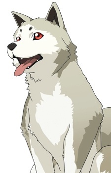 Аниме персонаж Коромару / Koromaru из аниме Persona 3 the Movie 1: Spring of Birth