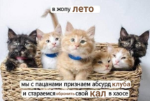 Лето, когда мы обронили наш кал
