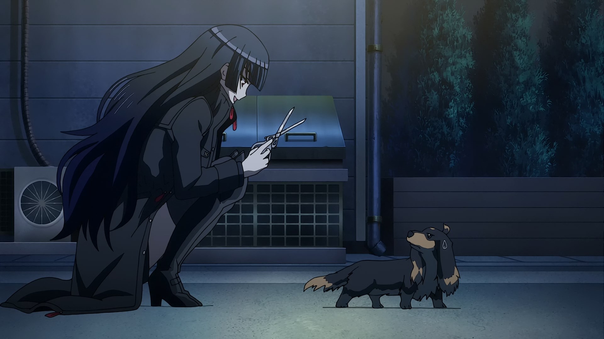 Alice has a big black dog. Пес & ножницы / Inu to Hasami WA Tsukaiyou. Дворняга и садистка / Inu to Hasami WA Tsukaiyou [.