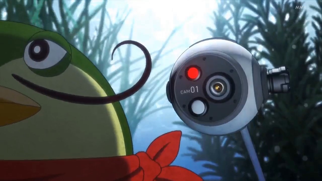 Кадр из 
