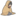 Anasthesia