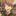 deppe