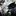 SolitaryCat