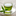 Green_Tea