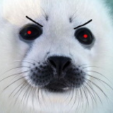 Angry_Seal