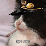 admiral_erj