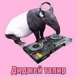 Dj Tapir