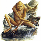 Goida1337