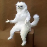 whitysanya