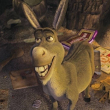 Donkey_Grey