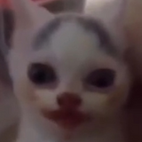 Xlebka