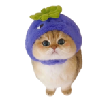 HihaCraby