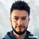 S_1Miron