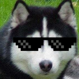 Laika Boss