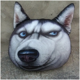 _Wolthok_