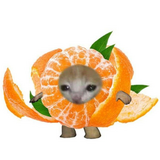 Чёрный мандарин