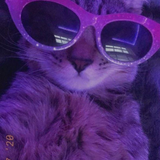 Rigel7717