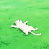kusoochek