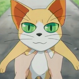 CAT_HOKAGE