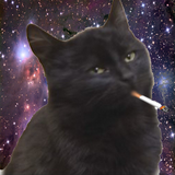 cat in space