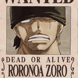 zoro 2Y