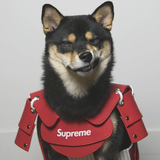 DogeSan