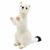 Ermine