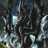 Dragon165