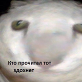 DrZoidberg451