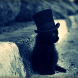 Black_Cat°