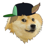 Shibe_ibe