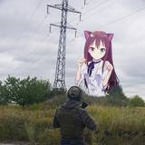 COL.SeNpaI