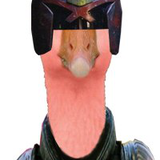 PinkGoose