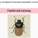 SShPROt