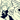L_Dolphin