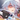 Risu__R