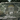 DeadPanda606