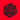 Denomit