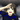 djasper
